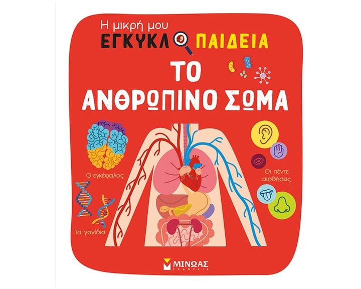 Το ανθρώπινο σώμα 01378