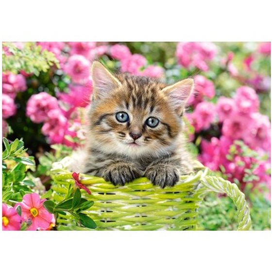 Πάζλ Castorland 500τεμ Κitten In Flowerr Garden B-52974