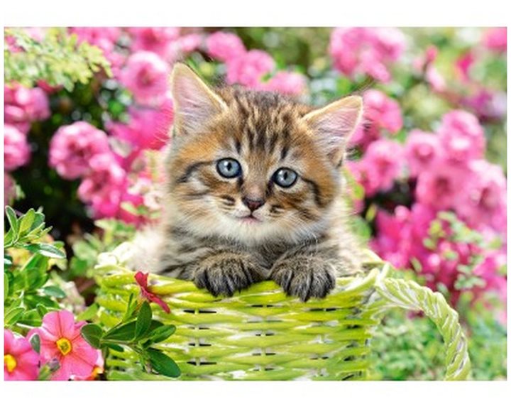 Πάζλ Castorland 500τεμ Κitten In Flowerr Garden B-52974