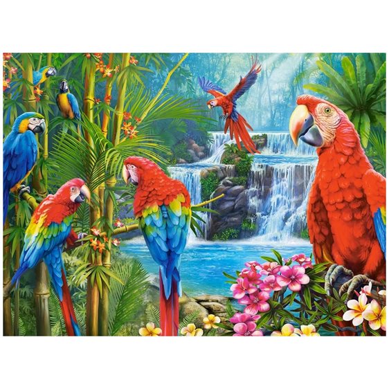 Παζλ Castorland 2000τεμ. Parrot Meeting 92x68 C-200870-2
