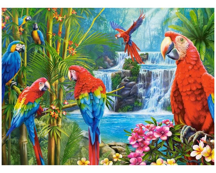 Παζλ Castorland 2000τεμ. Parrot Meeting 92x68 C-200870-2