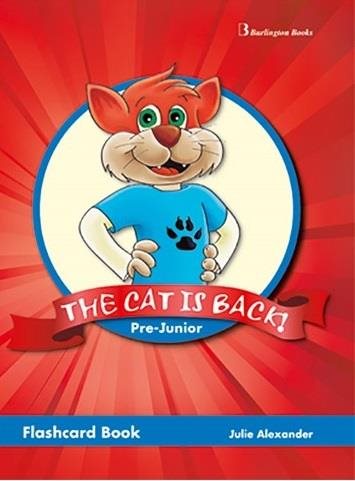 THE CAT IS BACK PRE-JUNIOR FLASHCARD BOOK