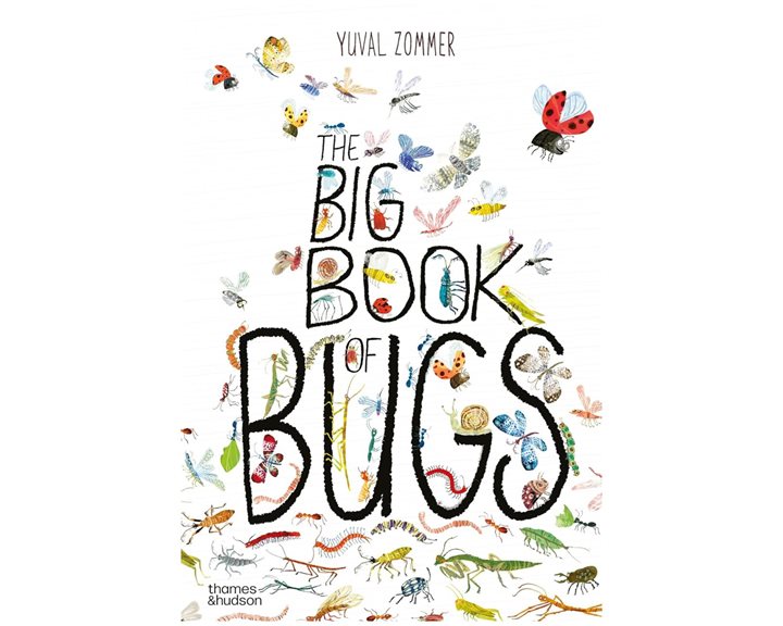 THE BIG BOOK OF BUGS  HC