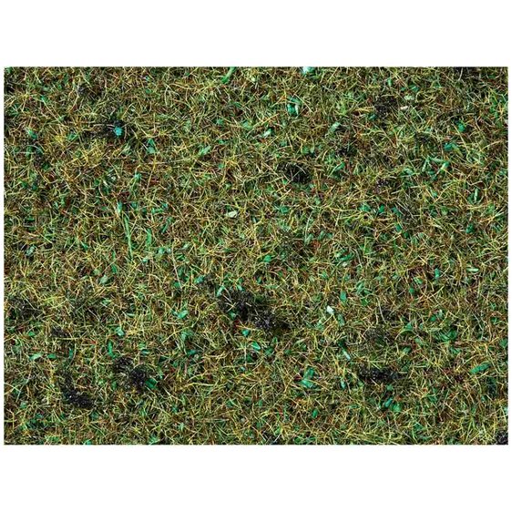 Υλικά Μακέτας Noch 08350 Γρασίδι Forest Floor 20g