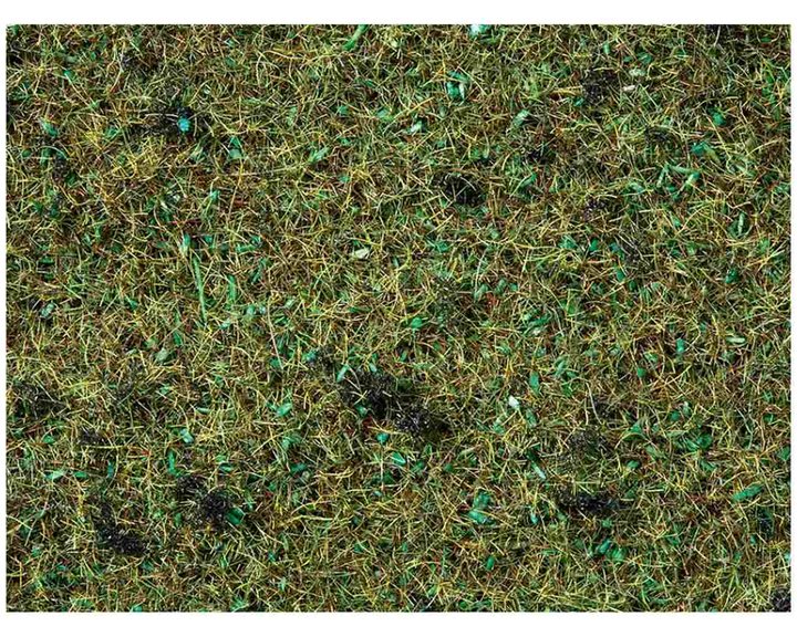 Υλικά Μακέτας Noch 08350 Γρασίδι Forest Floor 20g