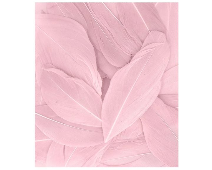 Φτερά 3γρ. 6εκ. Baby Pink