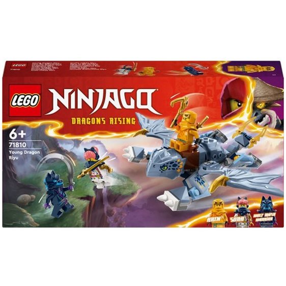 LEGO Ninjago Νεαρός Δράκος Ρίγιου 71810