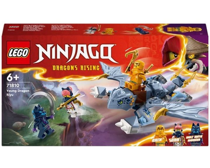 LEGO Ninjago Νεαρός Δράκος Ρίγιου 71810