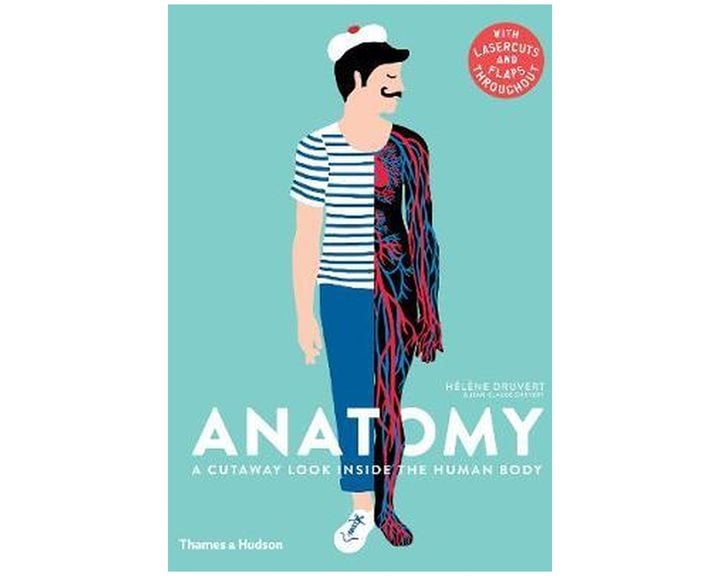 ANATOMY - WITH LASERCUTS AND FLAPS THROUGHOUT HC