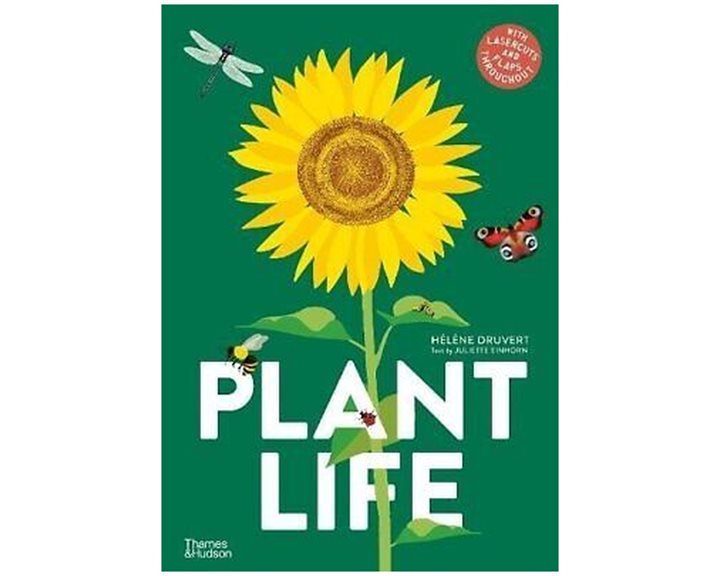 PLANT LIFE - WITH LASERCUTS AND FLAPS THROUGHOUT HC