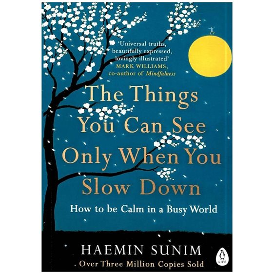 THE THINGS YOU CAN SEE WHEN YOU SLOW DOWN :HOW TO BE CALM IN A BUSY WORLD