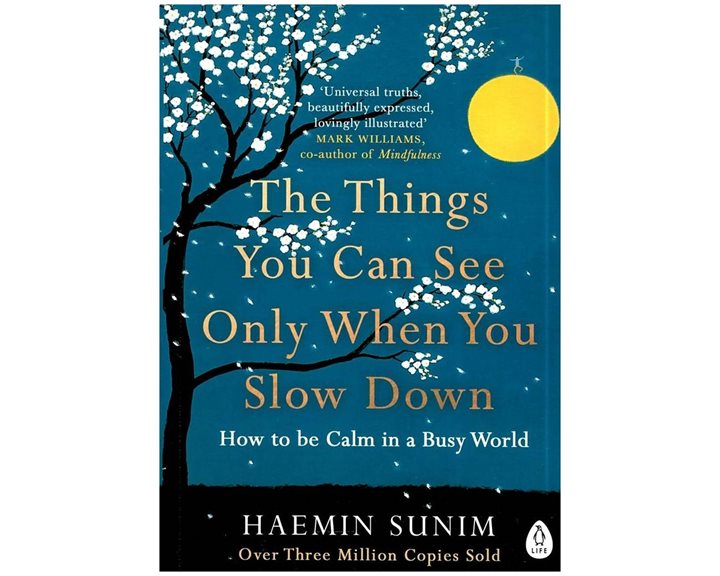 THE THINGS YOU CAN SEE WHEN YOU SLOW DOWN :HOW TO BE CALM IN A BUSY WORLD