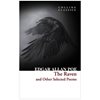 Edgar Allan Poe - Image Description