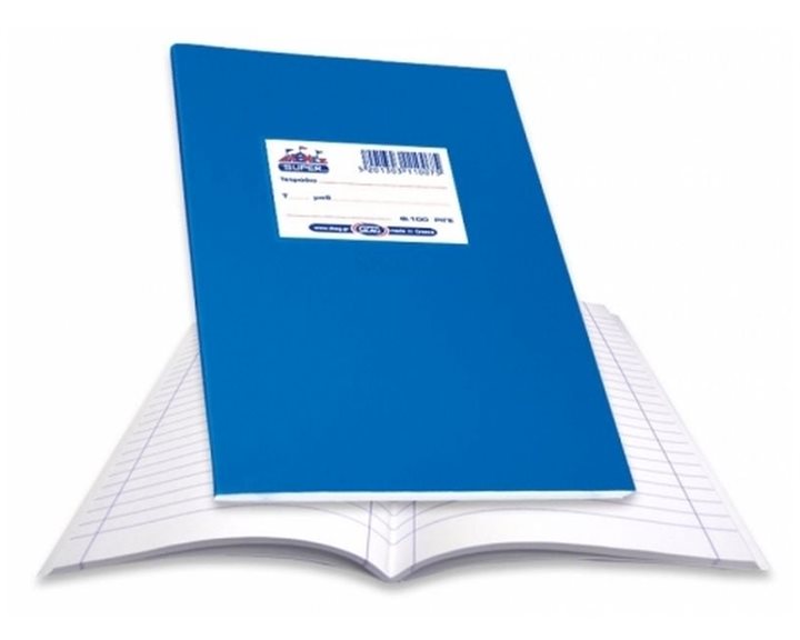 Τετράδιο Καρφίτσα Skag Super 17x25 30φ. Ριγέ
