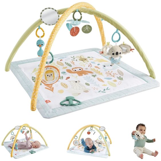 Mattel Simply Senses Γυμναστήριο - Οι Πρώτες Του Αισθήσεις HRB15