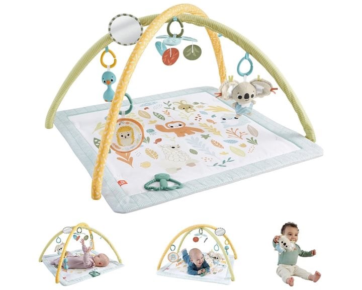 Mattel Simply Senses Γυμναστήριο - Οι Πρώτες Του Αισθήσεις HRB15