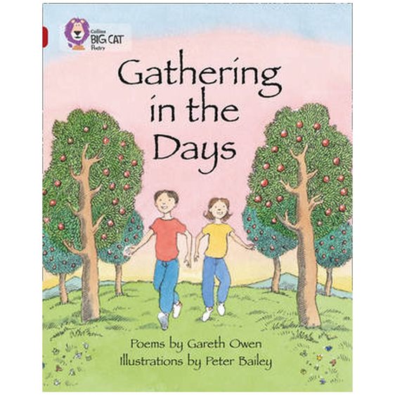 COLLINS BIG CAT : GATHERING IN THE DAYS (BAND 14) PB