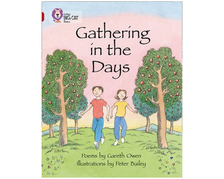 COLLINS BIG CAT : GATHERING IN THE DAYS (BAND 14) PB