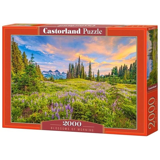 Παζλ Castorland 2000τεμ. Blossoms of Morning 92x68 C-200863-2