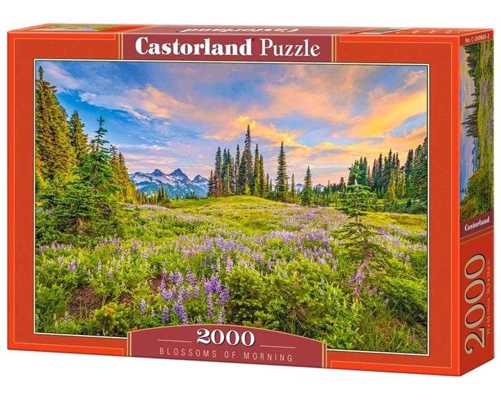 Παζλ Castorland 2000τεμ. Blossoms of Morning 92x68 C-200863-2