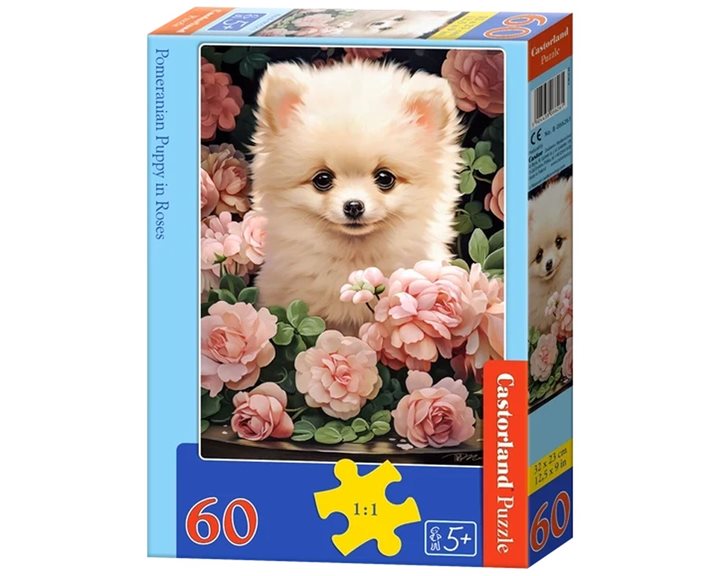 Παζλ Castorland 60 τμχ. Pomeranian Puppy in Roses 32x23 B-066261