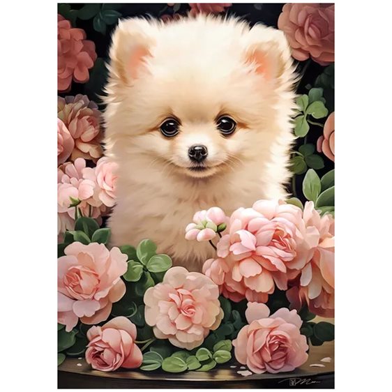 Παζλ Castorland 60 τμχ. Pomeranian Puppy in Roses 32x23 B-066261