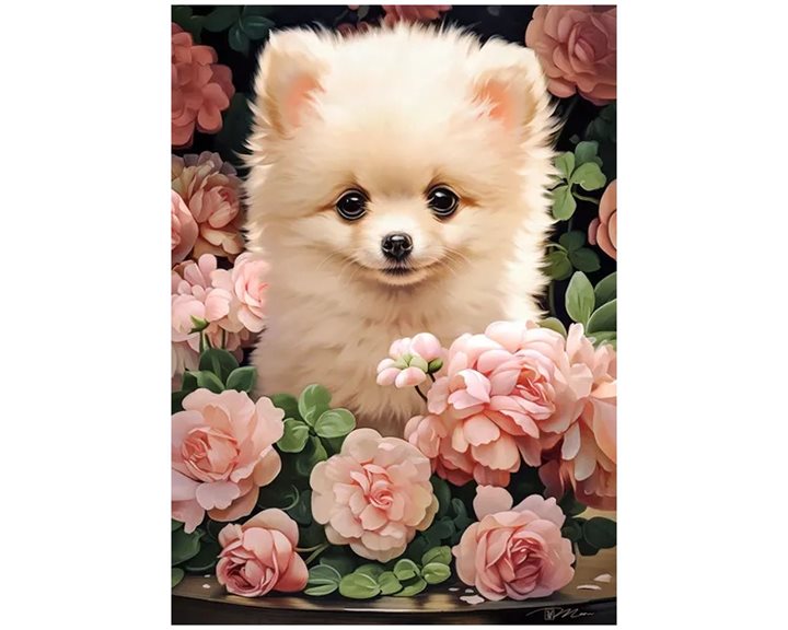 Παζλ Castorland 60 τμχ. Pomeranian Puppy in Roses 32x23 B-066261