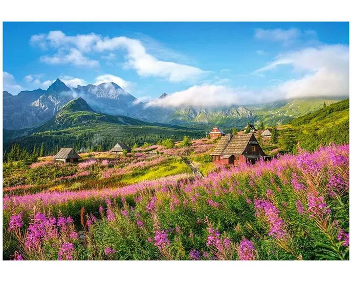 Παζλ Castorland 1000 τμχ. Hala Gasienicova Tatras Poland 68x47 C-104512-2