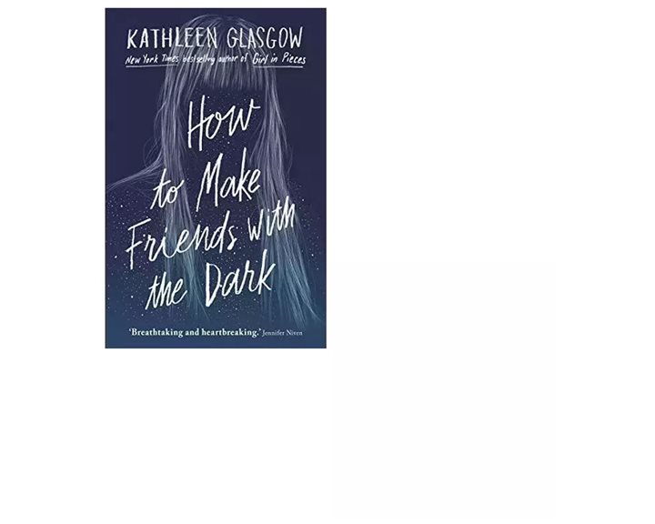 HOW TO MAKE FRIENDS WITH THE DARK