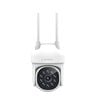 IP cameras - Image Description