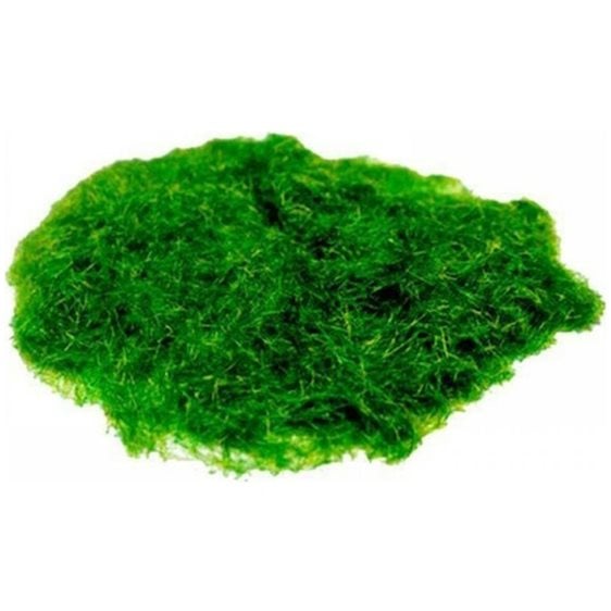 ΓΡΑΣΙΔΙ ΝΑΥΛΟΝ ΠΡΑΣΙΝΟ 50gr