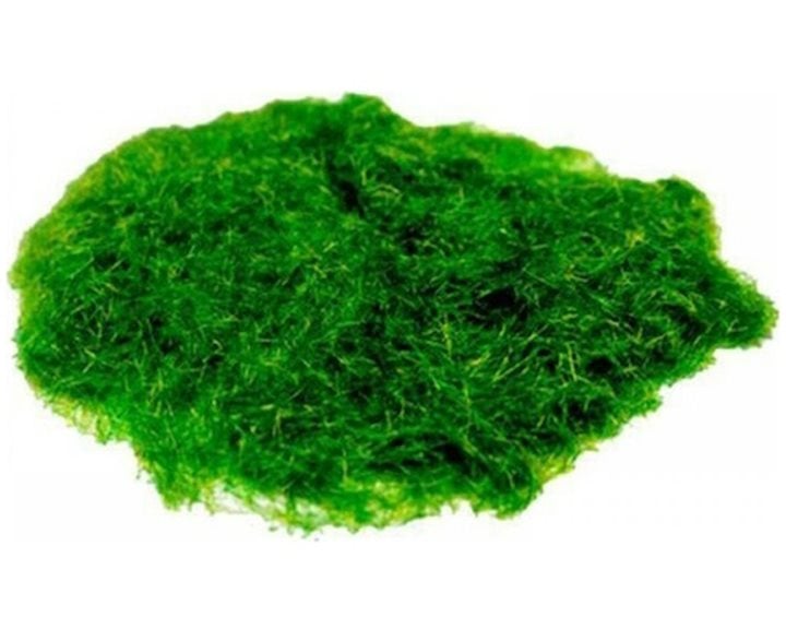 ΓΡΑΣΙΔΙ ΝΑΥΛΟΝ ΠΡΑΣΙΝΟ 50gr