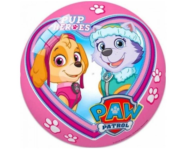 Μπάλα Paw Patrol Skye 23cm