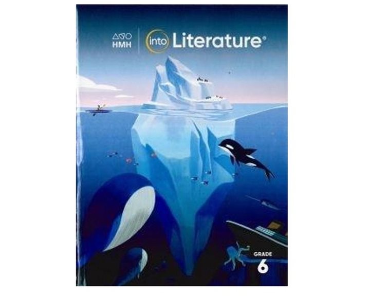 INTO LITERATURE STUDENT EDITION SOFTCOVER GRADE 6 N/E