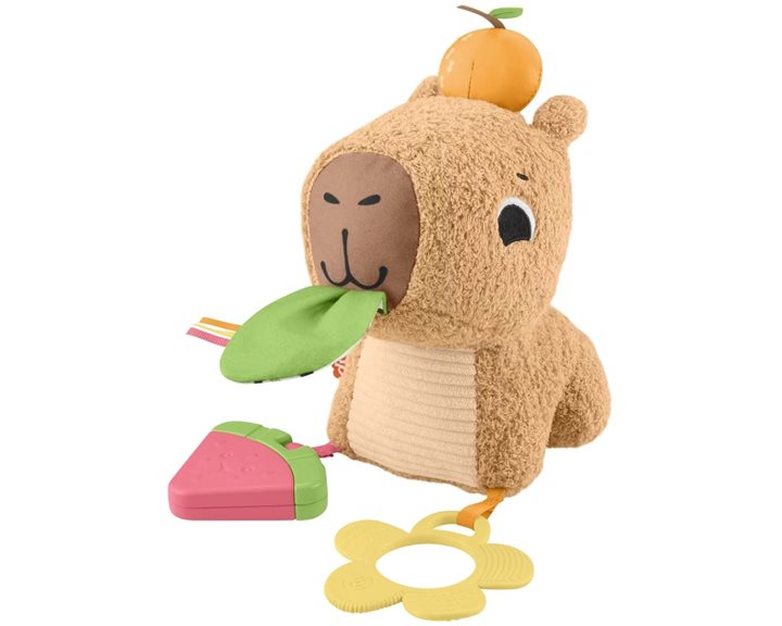Mattel Fisher-Price Sensimals Μαλακό Καπιμπάρα Δραστηριοτήτων Λούτρινο Παιχνίδι HYR54