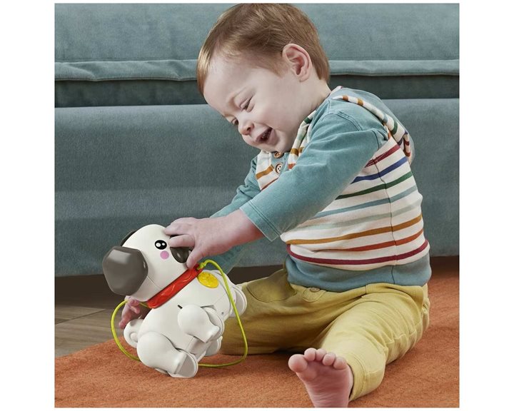 Fisher-Price Συρρόμενο Σκυλάκι Pug Παιχνίδι Με Σχοινάκι Για Τράβηγμα HTW94