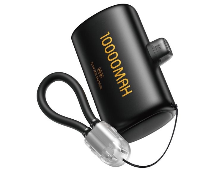 Power Bank 10000mAh PD 22,5W WK WP-113 2 Θέσεων, με καλώδιο USB-C/Lightning Μαύρο