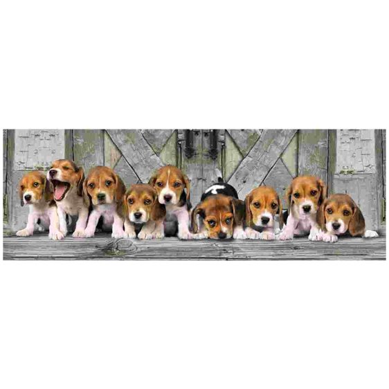 Clementoni Παζλ Panorama High Quality Collection Σκυλάκια Beagles 1000 τμχ - Compact Box