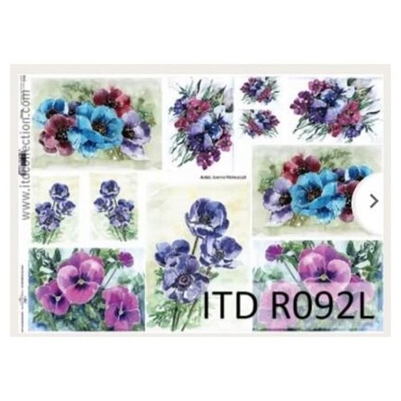 Ριζόχαρτο anemones A3 42x29.7εκ. (ITD-R092L)