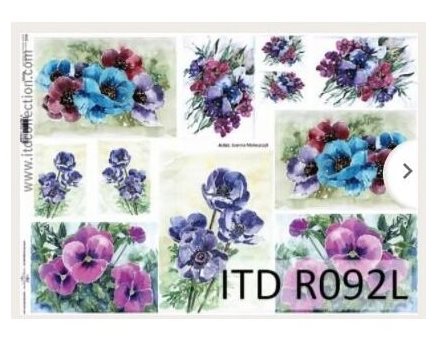 Ριζόχαρτο anemones A3 42x29.7εκ. (ITD-R092L)