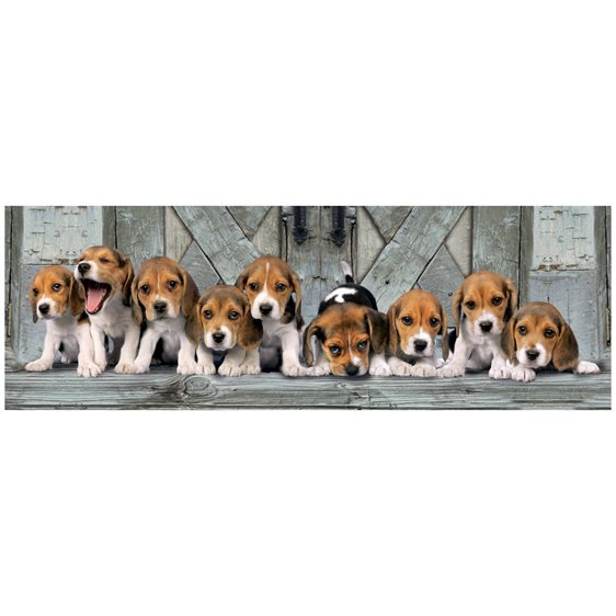 Clementoni Παζλ Panorama Quality Collection Σκυλάκια Beagles 1000 Τμχ 1220-39435