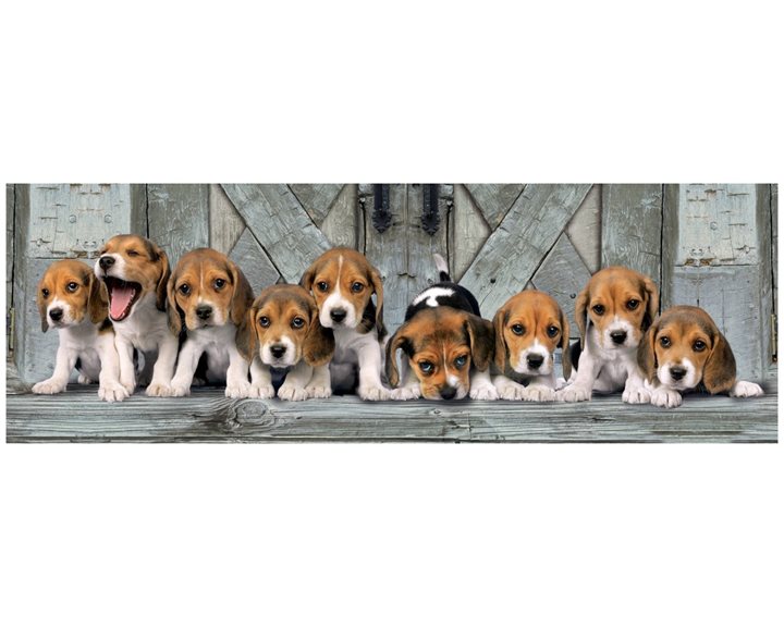 Clementoni Παζλ Panorama Quality Collection Σκυλάκια Beagles 1000 Τμχ 1220-39435