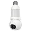 IP cameras - Image Description