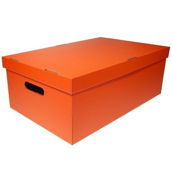 Next Κουτί Α3 Colors Πορτοκαλί 19x50x31cm