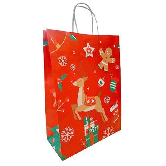 Χάρτινη Τσάντα  Next Y22χ18χ8εκ  Christmas Deer