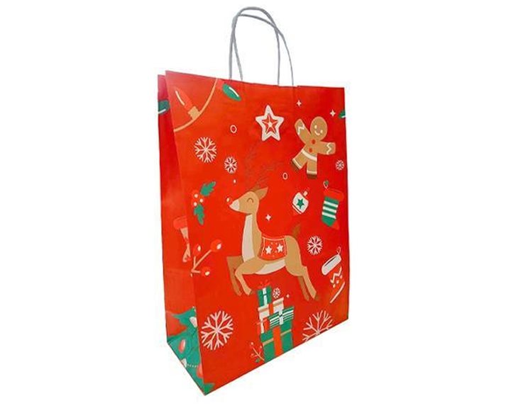 Χάρτινη Τσάντα  Next Y22χ18χ8εκ  Christmas Deer