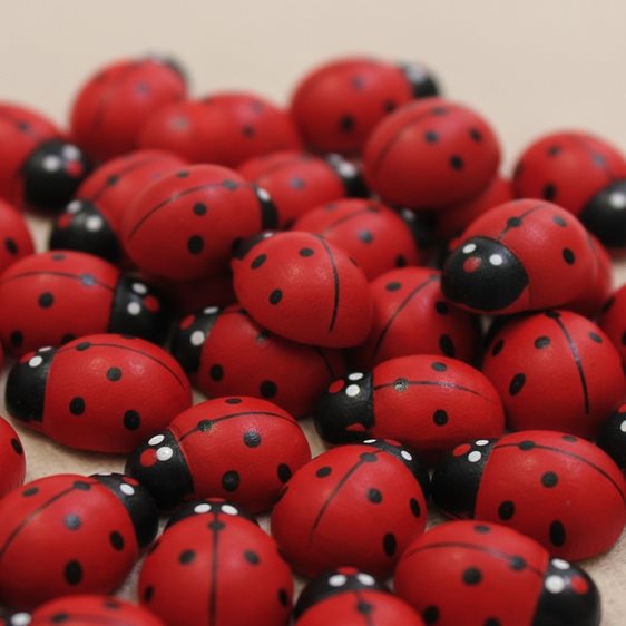 Πασχαλίτσες Ξύλινες 1,5cm 40τεμ.