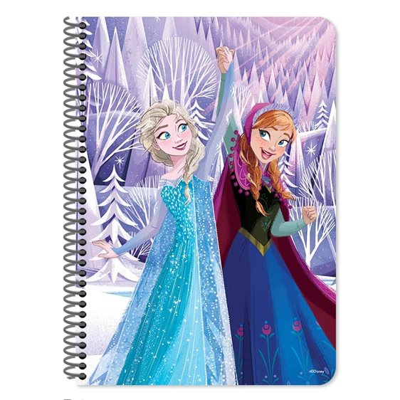 Τετράδιο Σπιράλ 17χ25 2θ 60φ. Frozen 000565847
