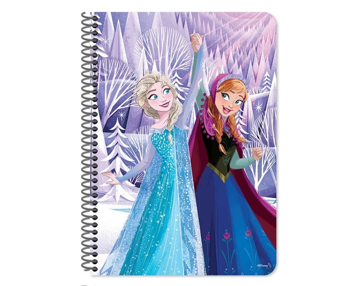 Τετράδιο Σπιράλ 17χ25 2θ 60φ. Frozen 000565847