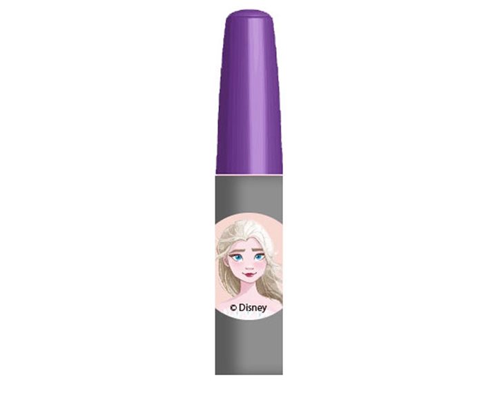 Σετ Ζωγραφικής με Κασετίνα Frozen 2  000563235